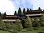 Immagine 10