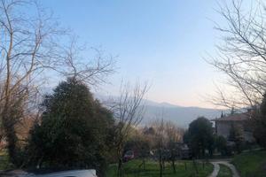 Rustico con terreno