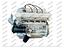 Immagine 8