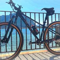 Mountain bike KTM 29 ultra Comp 1964 monocorona