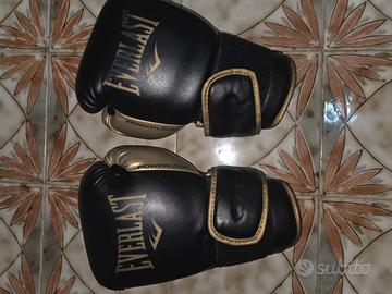 Guanti da Boxe Everlast Powerlock 14oz