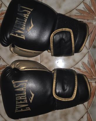 Guanti da Boxe Everlast Powerlock 14oz