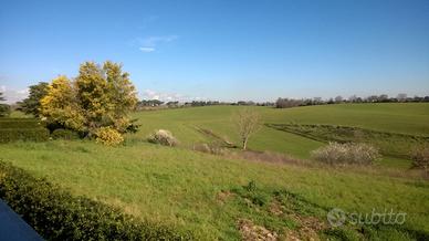 Terreno agricolo