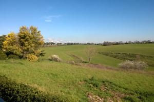 Terreno agricolo