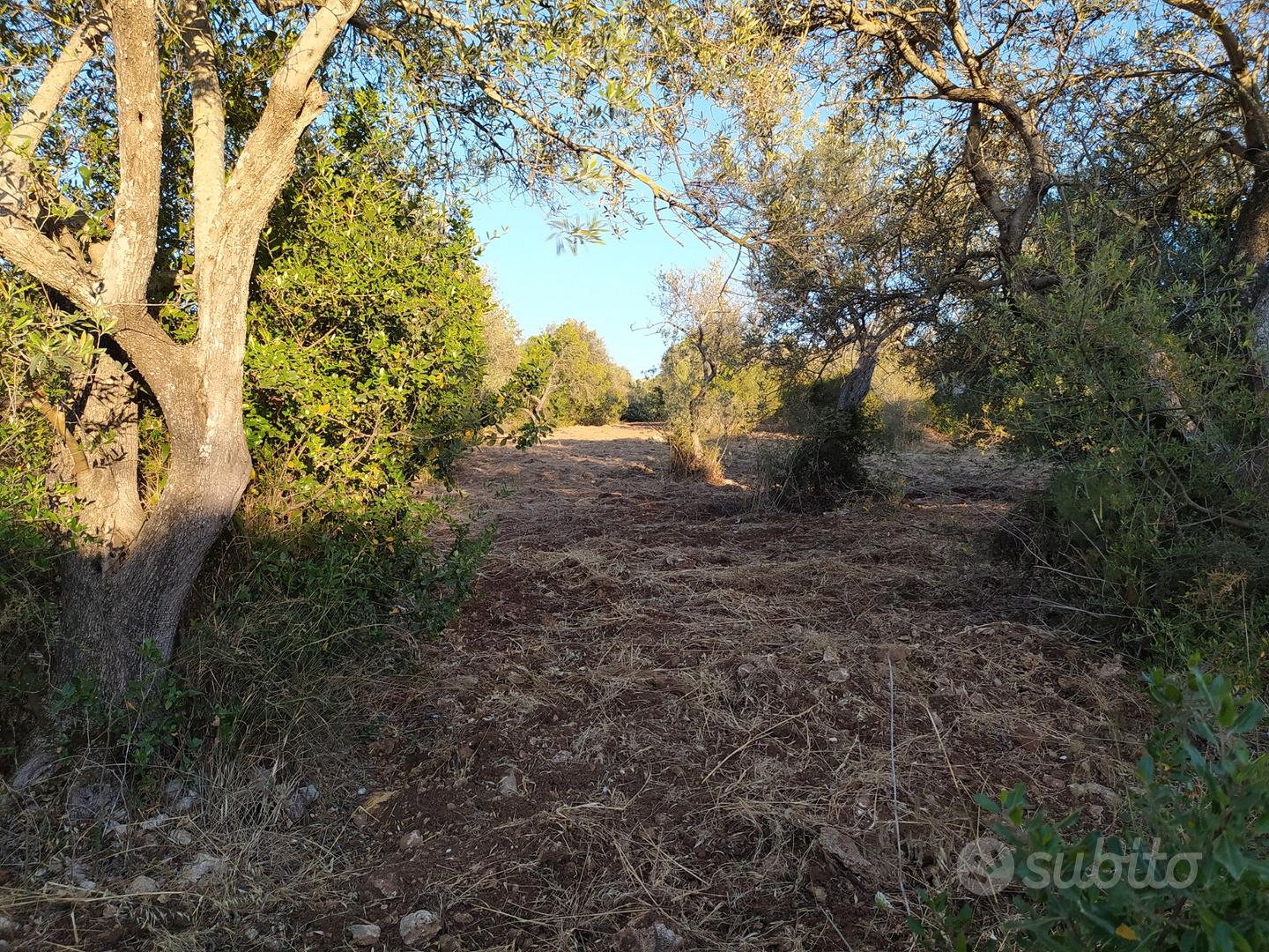 La Landrigga - Terreno mq. 600 a Sassari - Vista 3