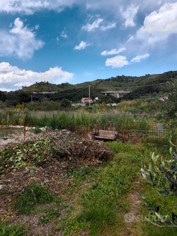 Andora, terreno agricolo collinare