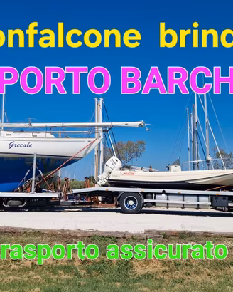 BARCA Walkaround sessa  + TRASPORTO
