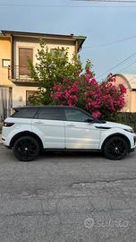 Range rover evoque dynamique