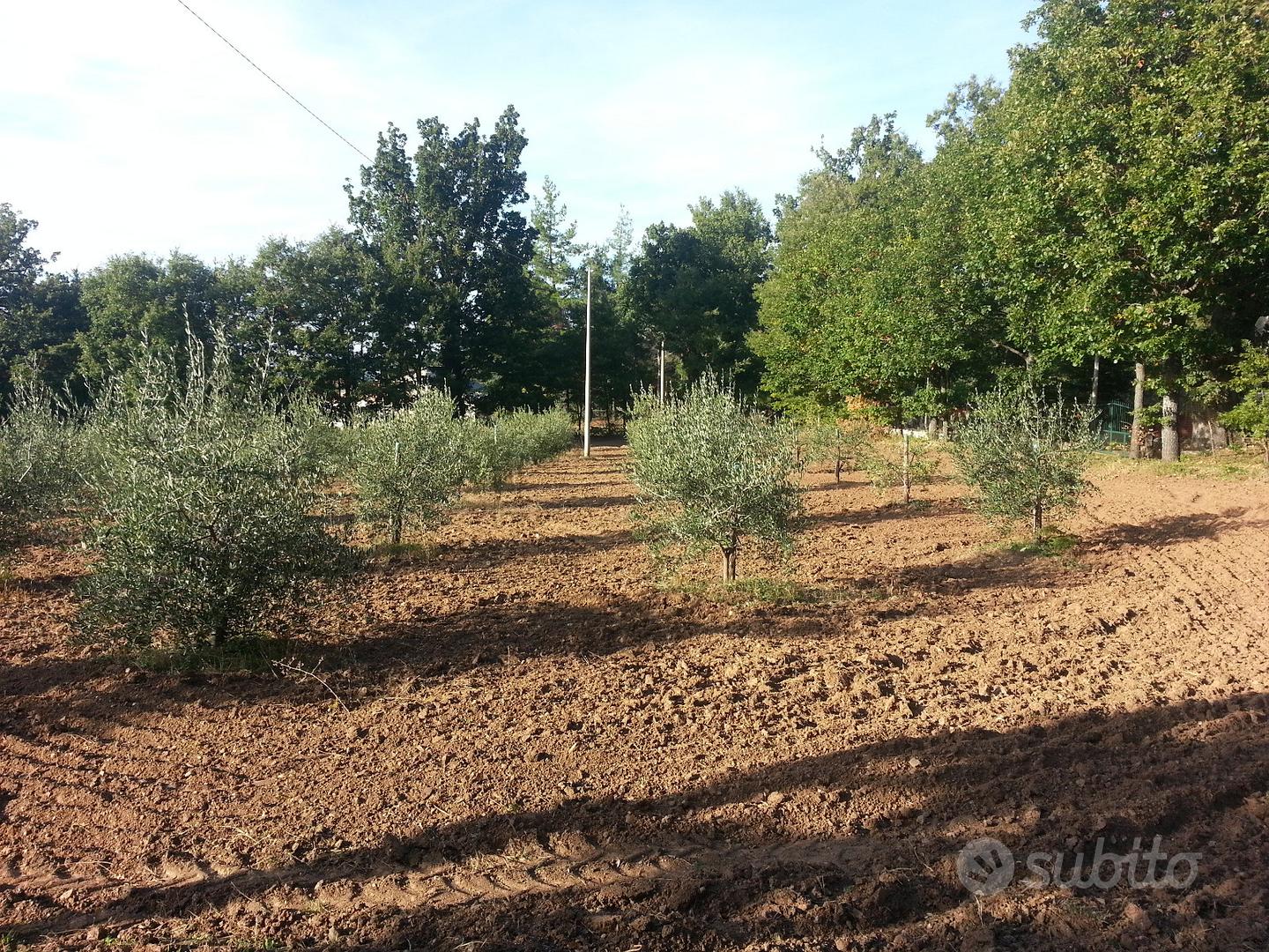 Terreno Agricolo - Vista 4