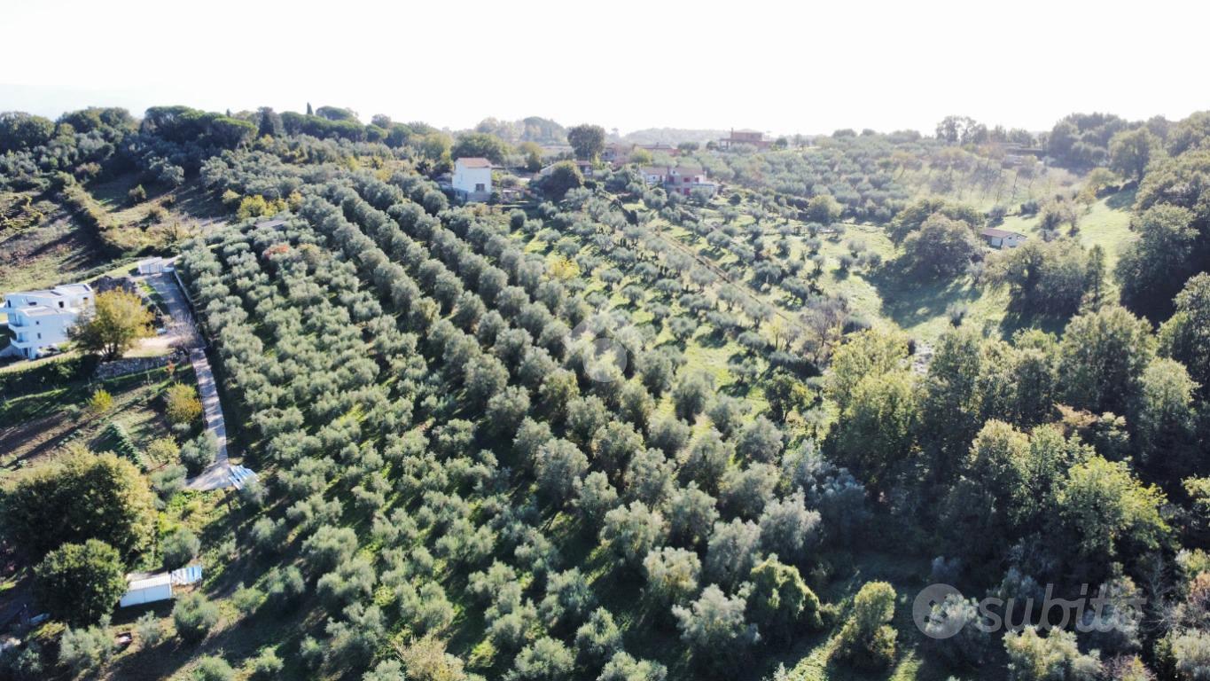 TER. AGRICOLO A FIANO ROMANO - Vista 2