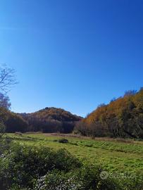 Terreni agricoli - gestione e manutenz