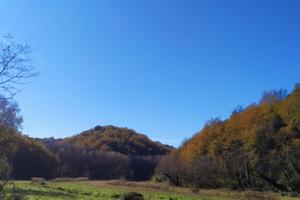 Terreni agricoli - gestione e manutenz
