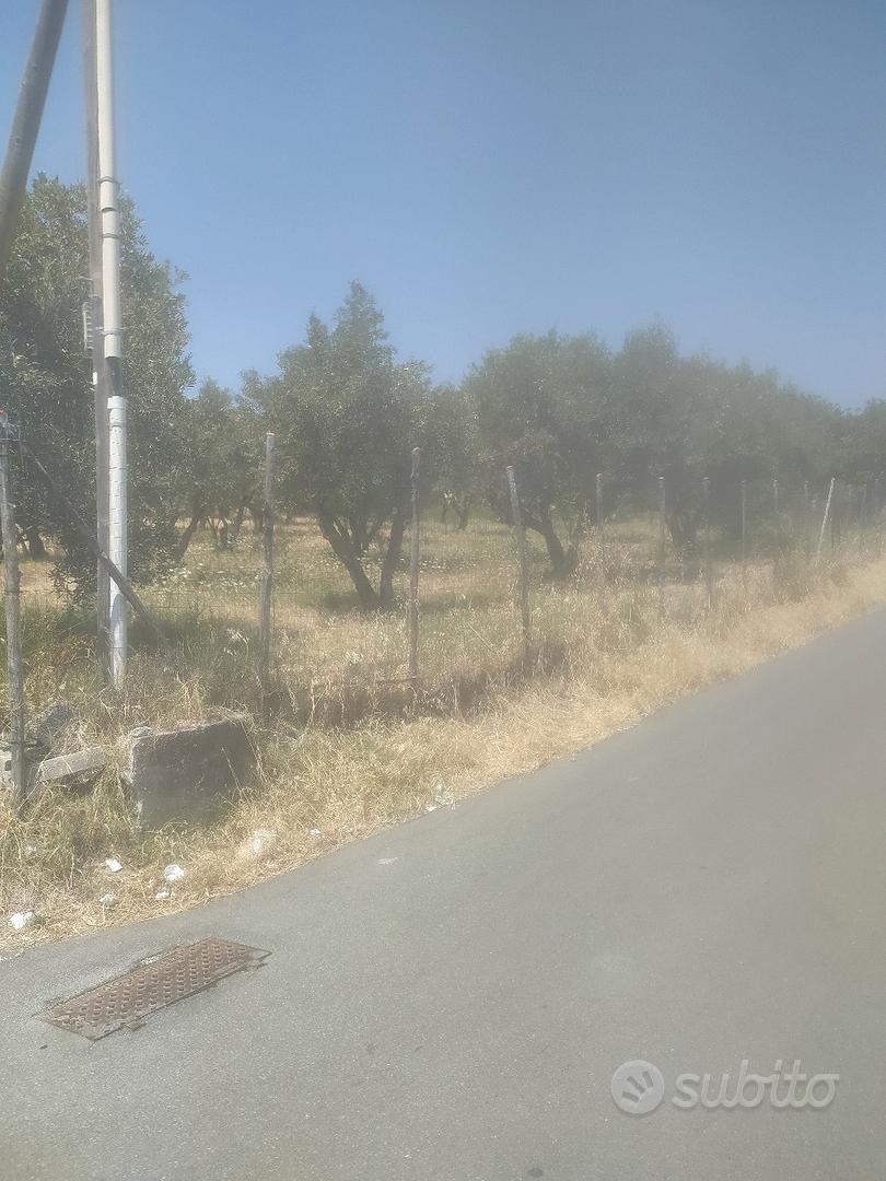 Terreno Agricolo e Intercluso. - Vista 2