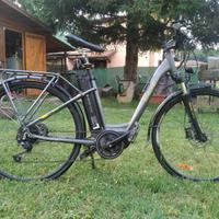 Bici elettrica