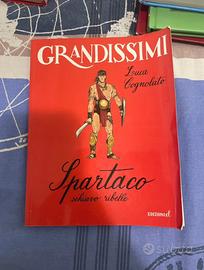 Spartaco - Luca Cognolto