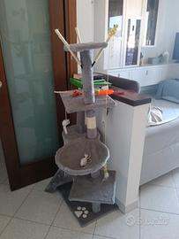 gioco gatti con tiragraffi