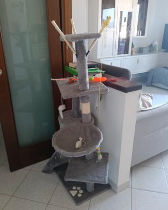 gioco gatti con tiragraffi