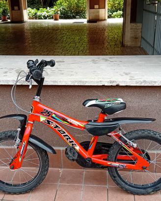 Bicicletta