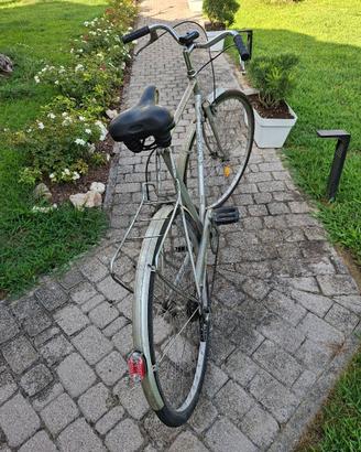 BICICLETTA 26