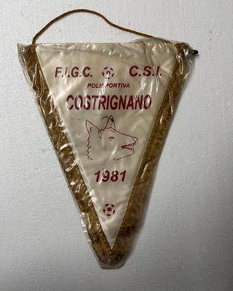 Gagliardetto calcio Costrignano 1981