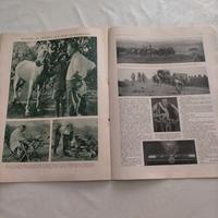 L' illustrazione italiana 8 marzo 1936