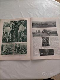 L' illustrazione italiana 8 marzo 1936