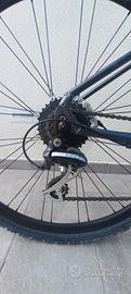 Bici Bianchi Sport C-Cross