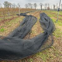 Rete antigrandine antinsetto