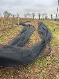 Rete antigrandine antinsetto