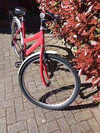 Mountain bike