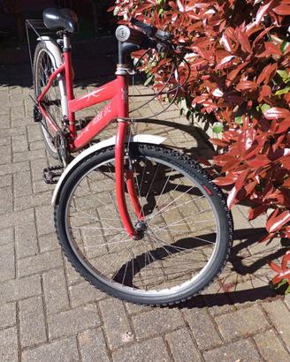 Mountain bike