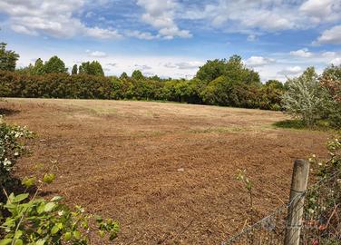 Lotto terreno agricolo Trivignano 2600mq