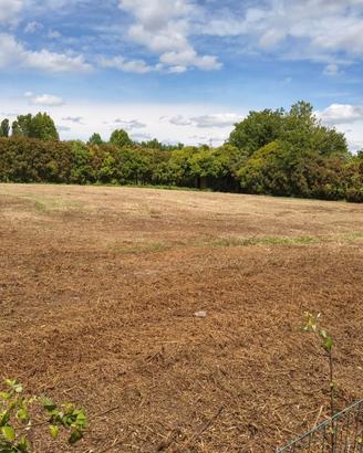 Lotto terreno agricolo Trivignano 2600mq