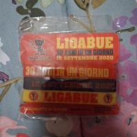 Braccialetti Ligabue 30 anni in un giorno