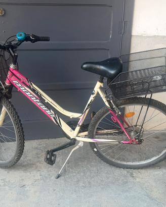 Bici mountabike 50€ asti