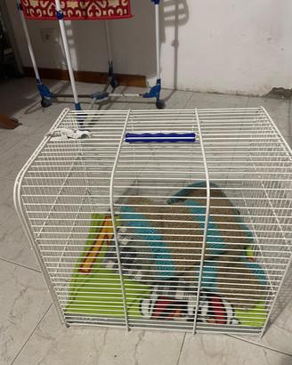 Gabbia-Trasportino per Gatti