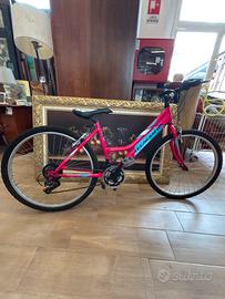bicicletta mountain bike tecnobile