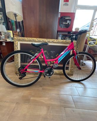 bicicletta mountain bike tecnobile