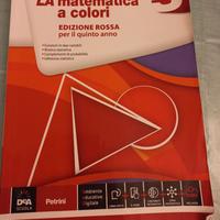 L. Sasso- Colori della matematica-vol.5-Petrini