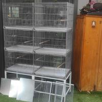 Voliera Petdumbo per allvemanto