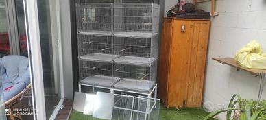 Voliera Petdumbo per allvemanto