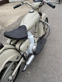 Moto DELFINO