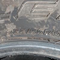 Pneumatici fuoristrada 