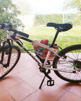 mountain-bike 