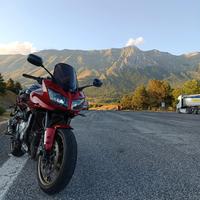 Yamaha fz1 Fazer 