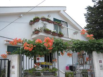 Trilocale sul mare.L. Mattei