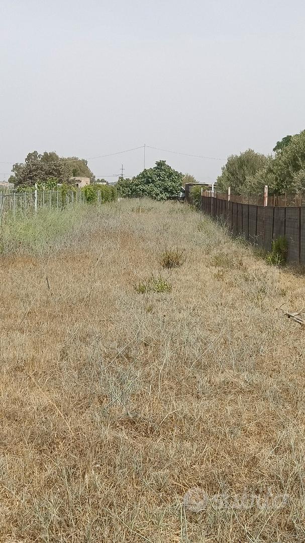 Terreno agricolo Selargius - Vista 4