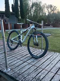 Mtb Specialized in carbonio 29