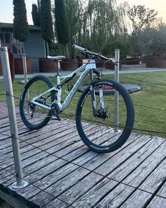Mtb Specialized in carbonio 29