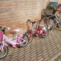 BICICLETTA PER DONNA  ACCESSORIATA